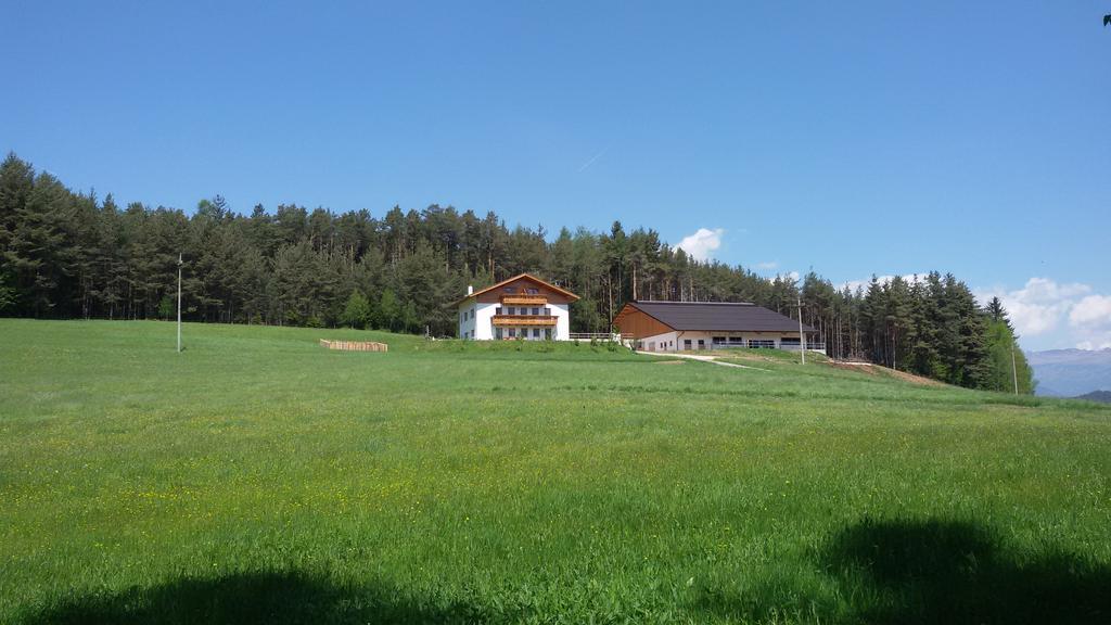 Parlunkhof Villa Castelrotto Exterior foto